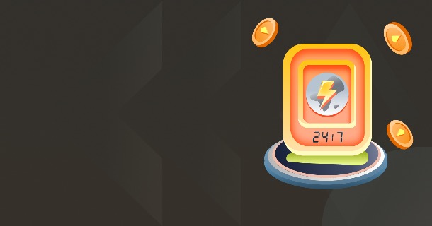 24/7 Technical Support